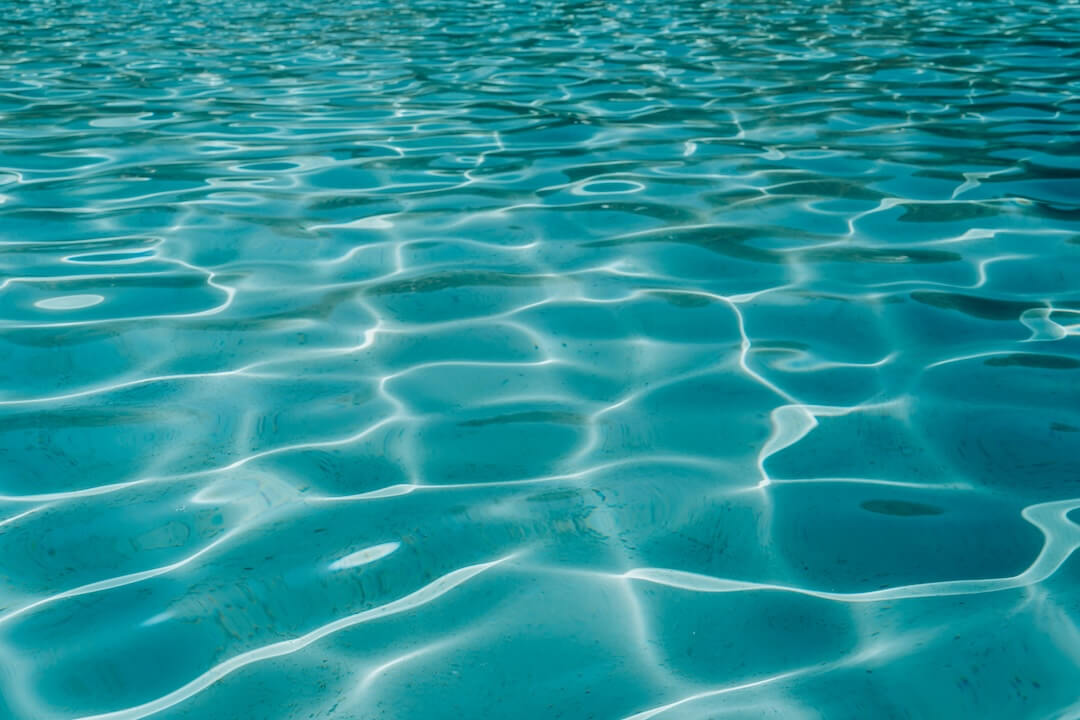 Florida Climate and Pool Health: Why Timing Matters Image